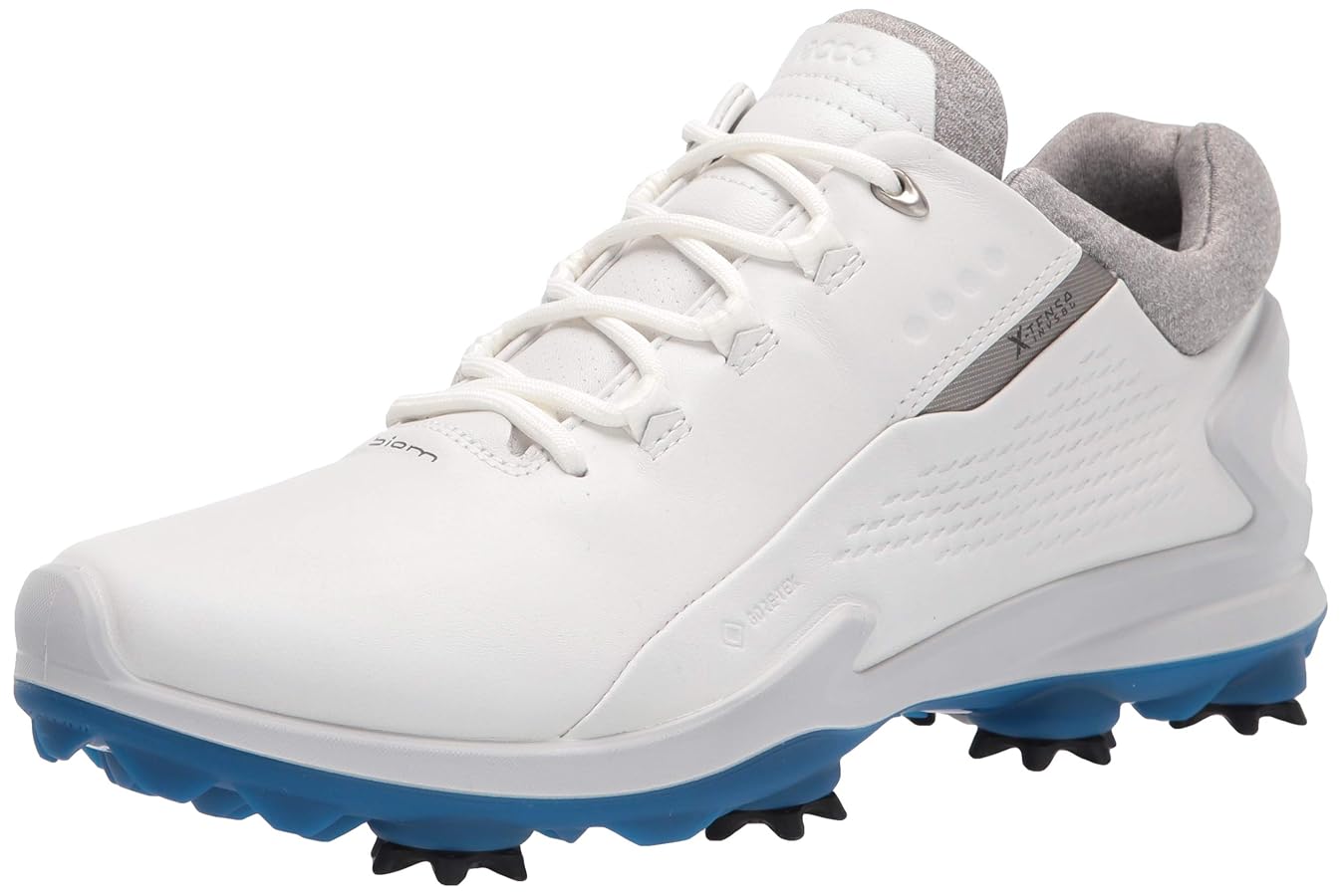 ★ ecco BIOM G3 エコー ゴアテックス ゴルフシューズ 本革 ★ Amazon | [エコー] ゴルフシューズ M ゴルフ バイオム G 3